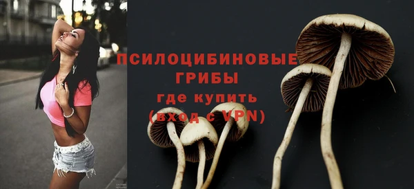 MDMA Premium VHQ Верея
