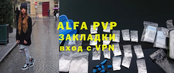 ECSTASY Бородино