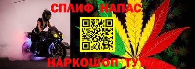 дживик Малгобек
