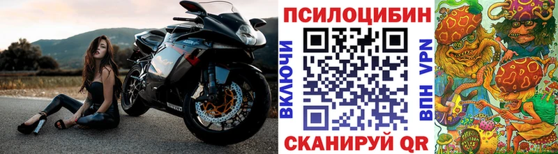 цена наркотик Вязьма Галлюциногенные грибы Psilocybe
