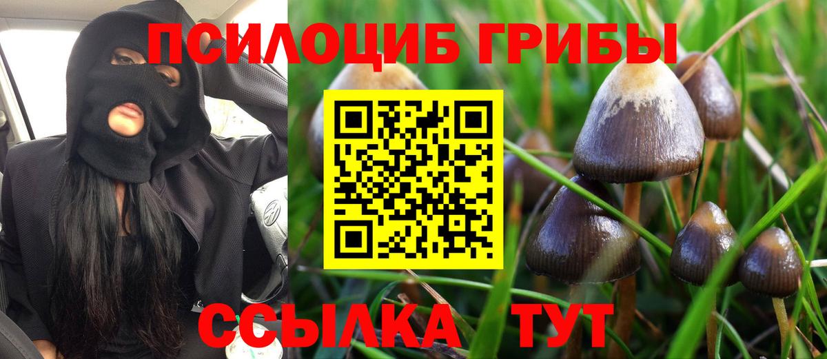Вязьма  Псилоцибиновые грибы прущие грибы  Вход с VPN 